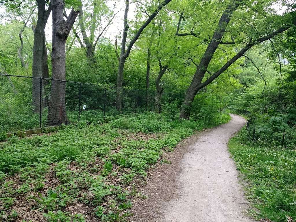 Montrose Point Bird Sanctuary | Chicago, IL 60640, USA