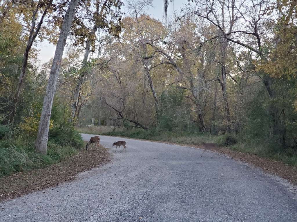 Bullinger Creek Lodge / Group Barracks | Sealy, TX 77474, USA | Phone: (800) 792-1112