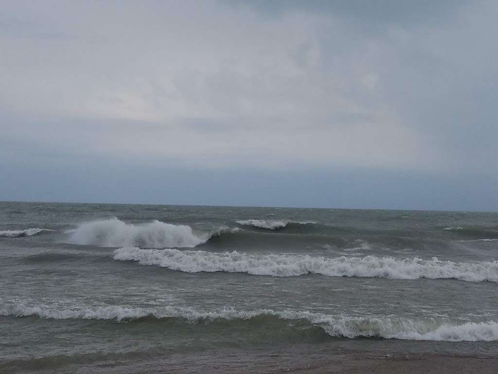 Loyola Dune Habitat | Chicago, IL 60626, USA