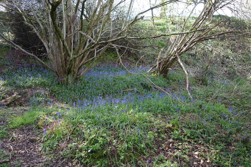 Forest Way Cycle Route NCN 21 | Forest Way, Tunbridge Wells TN2 5HA, UK