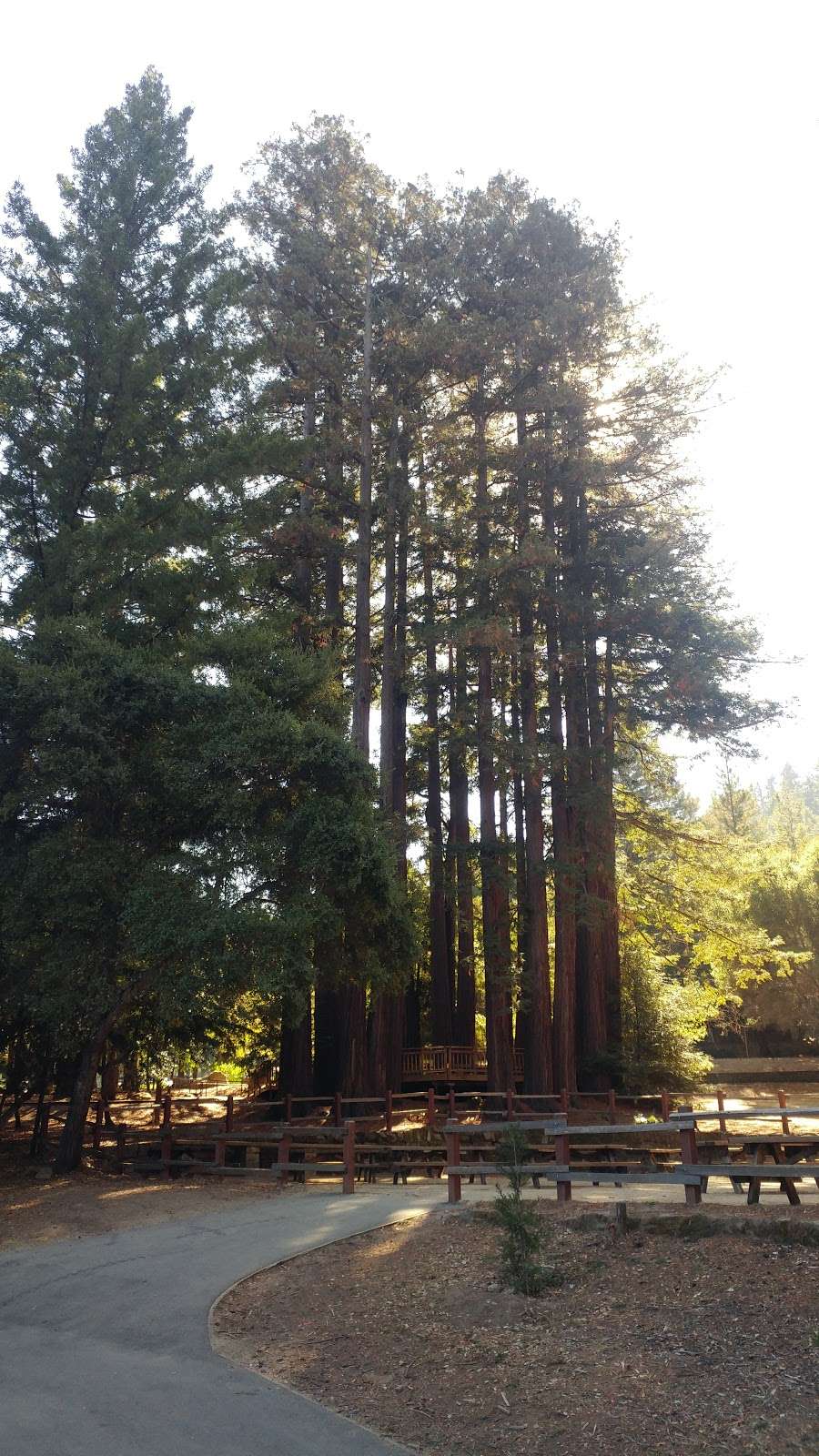 Sanborn County Park | 16055 Sanborn Rd, Saratoga, CA 95070, USA | Phone: (408) 867-9959