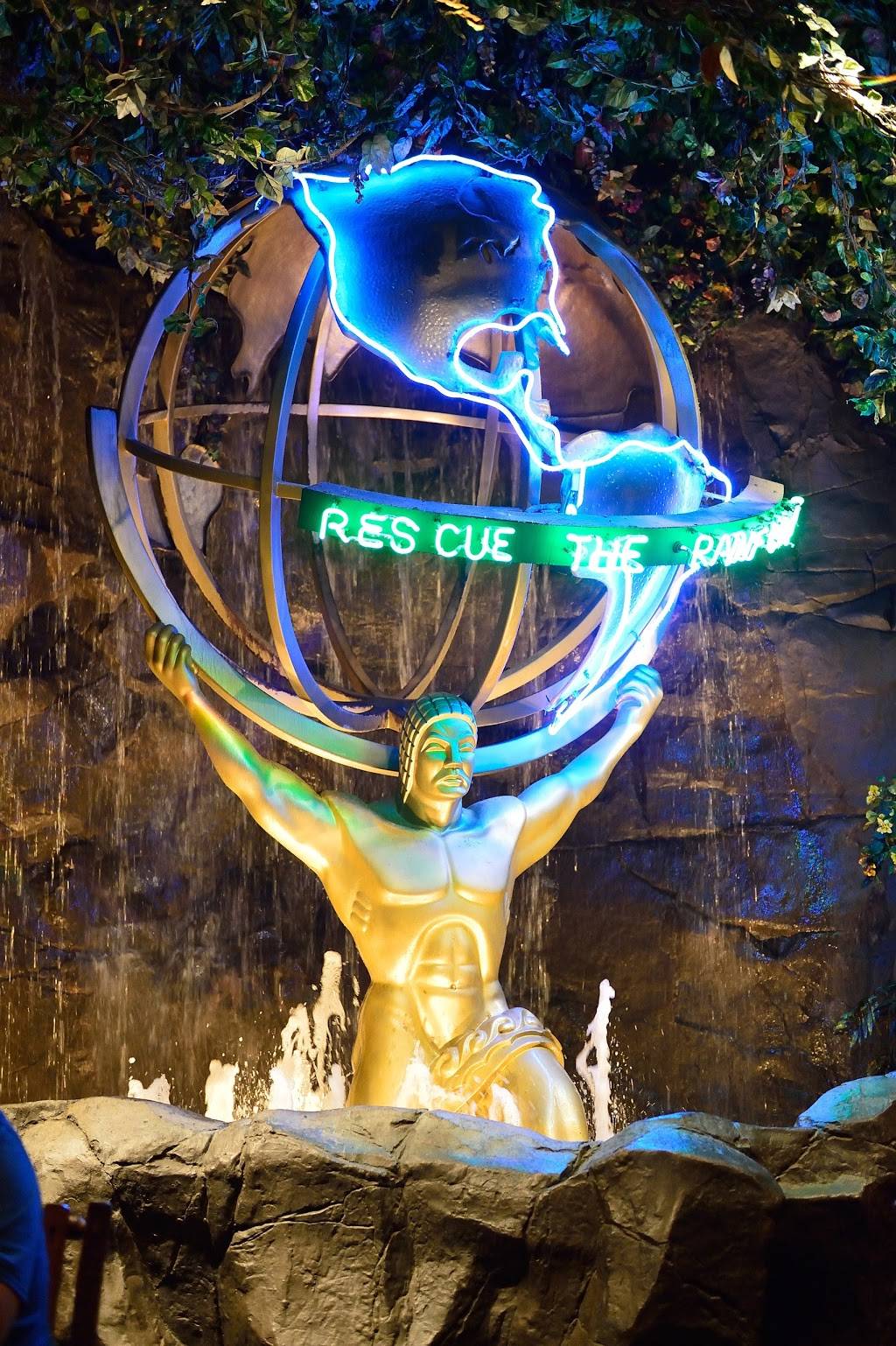 Rainforest Cafe | 5310 Seawall Blvd, Galveston, TX 77551, USA | Phone: (409) 744-6000