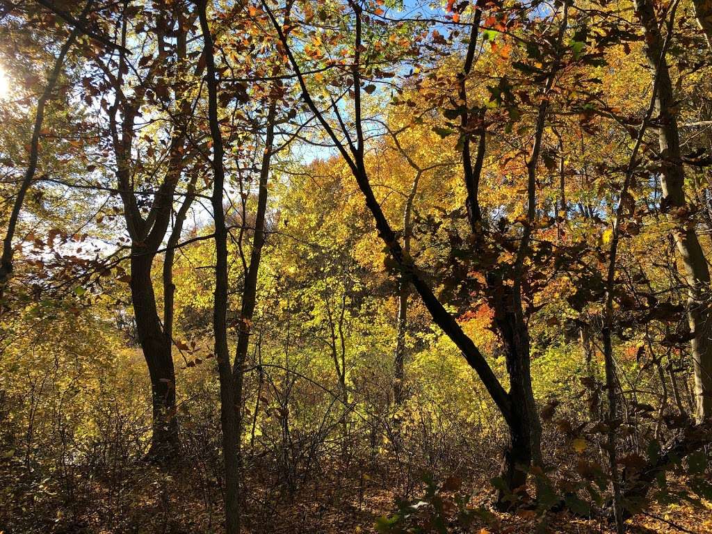 Parsons Point Trail | Unnamed Road, Smyrna, DE 19977, USA