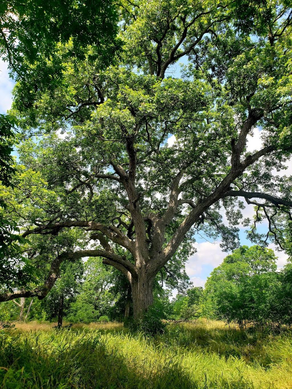 Crescent Bend Nature Park | 12780 W Schaefer Rd, Cibolo, TX 78108 | Phone: (210) 619-1850