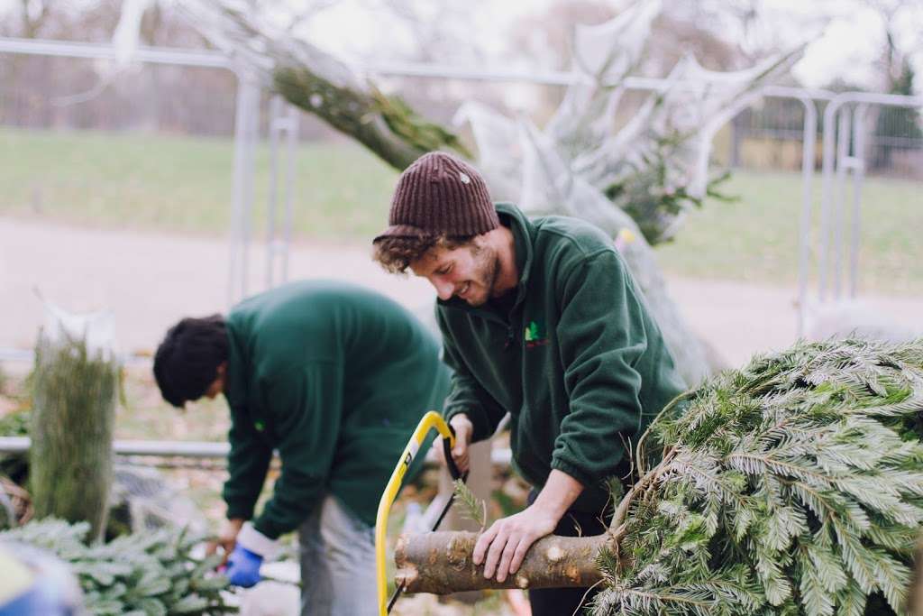 The Christmas Forest | Streatham and Marlborough Cricket Club, Dulwich Common, London SE21 7EX, UK | Phone: 020 3953 8794