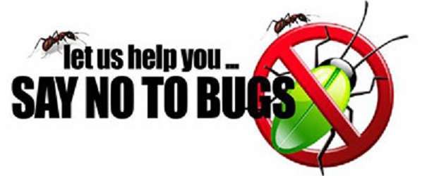 Once Upon A Bug | 7717 Geneva Dr, Gurnee, IL 60031, USA | Phone: (224) 419-9761