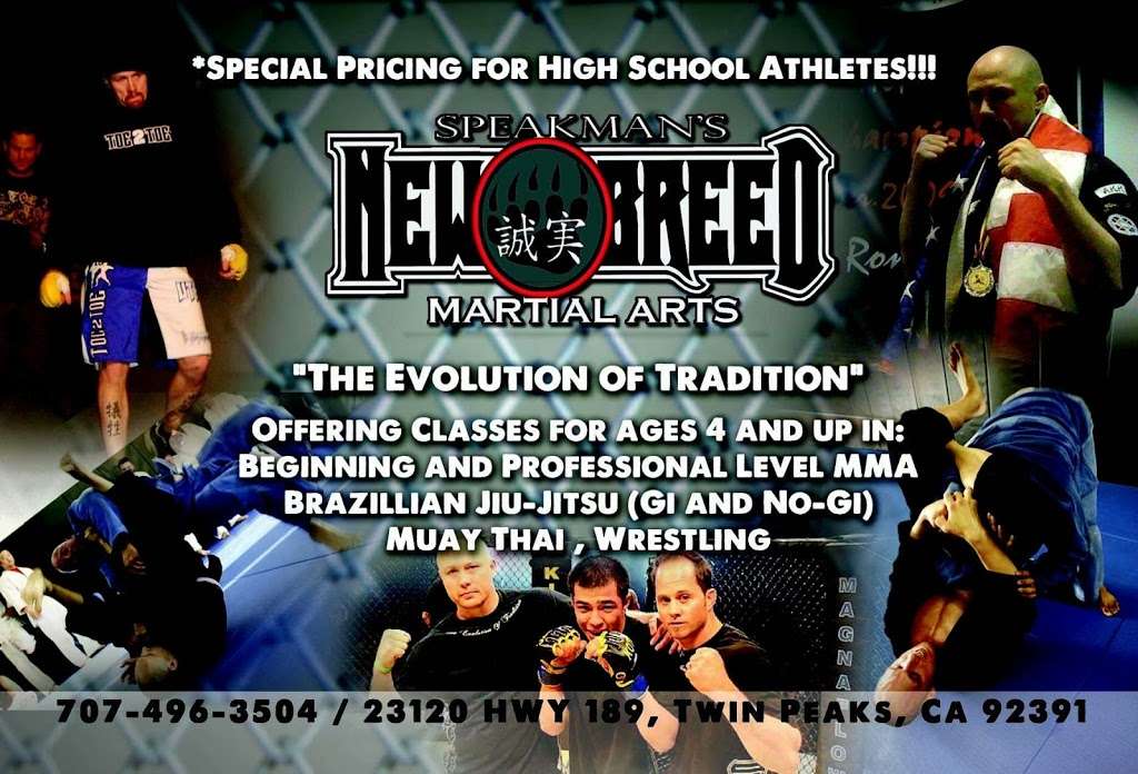 Speakmans Kenpo 5.0 and New Breed Martial Arts | 26120 CA-189, Twin Peaks, CA 92391, USA | Phone: (707) 496-3504