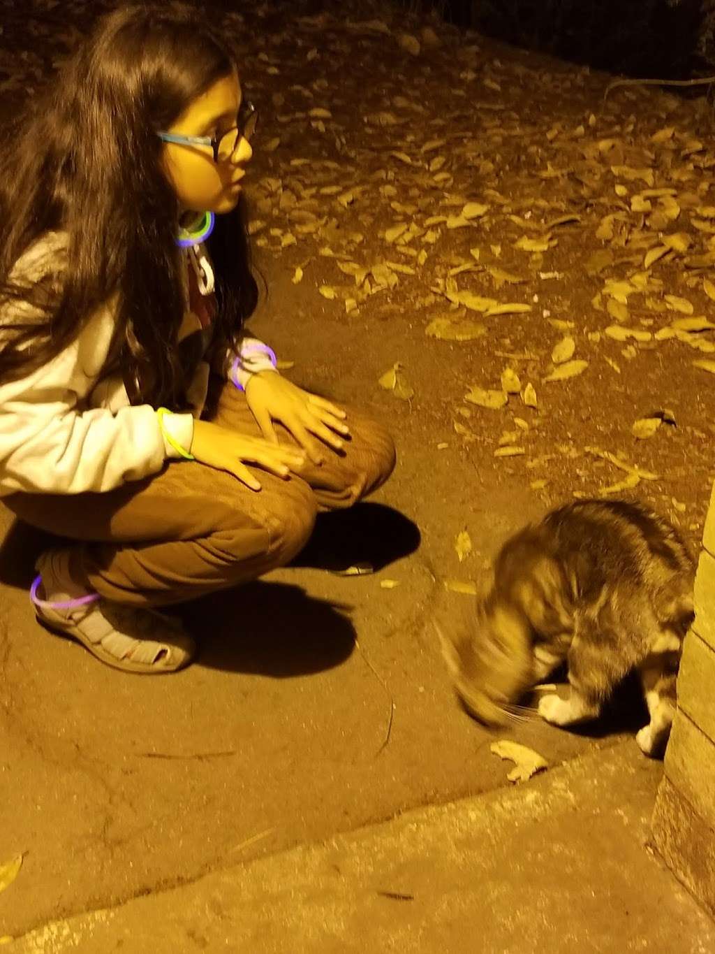 Memorial Park, Wurr Flat #2 | 9500 Pescadero Creek Rd, Loma Mar, CA 94021, USA | Phone: (650) 879-0238 Memorial Park, Wurr Flat #2 | 9500 Pescadero Creek Rd, Loma Mar, CA 94021, USA | Phone: (650) 879-0238