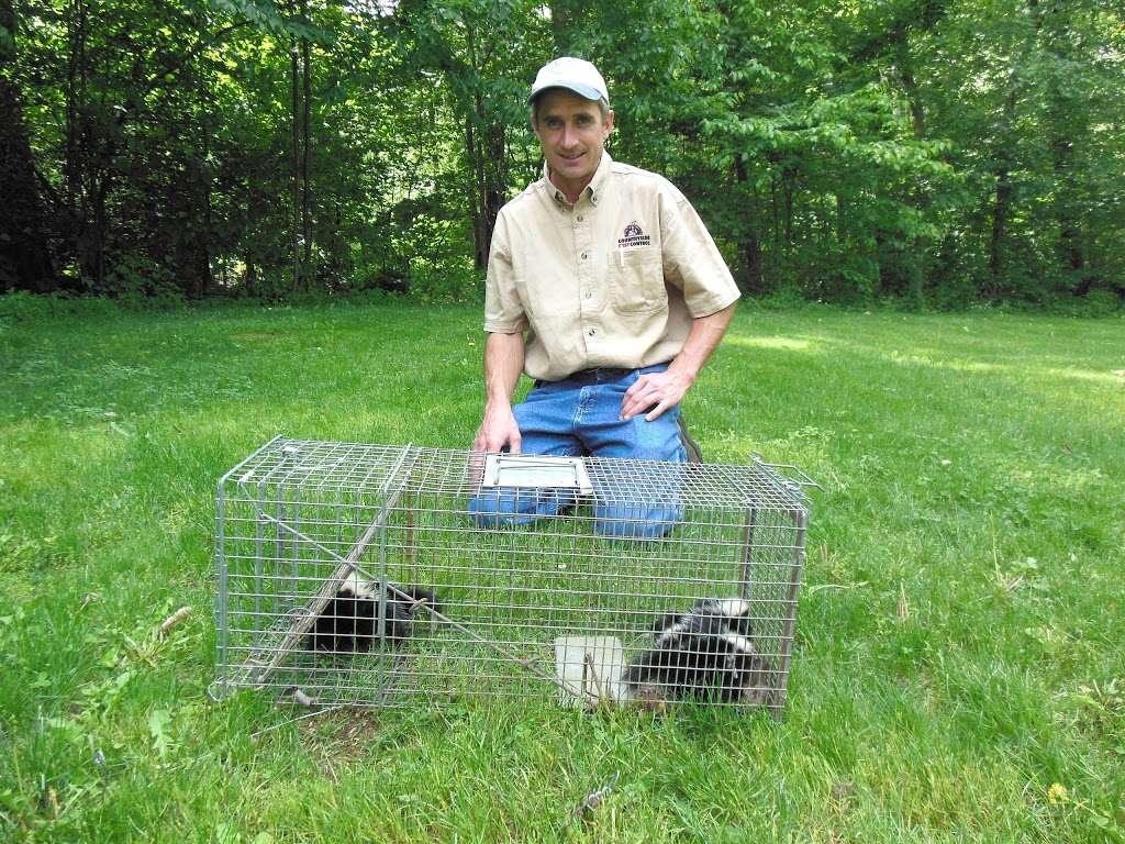 Countryside Pest Control | 280 Mountain Rd, Denver, PA 17517 | Phone: (717) 278-9918