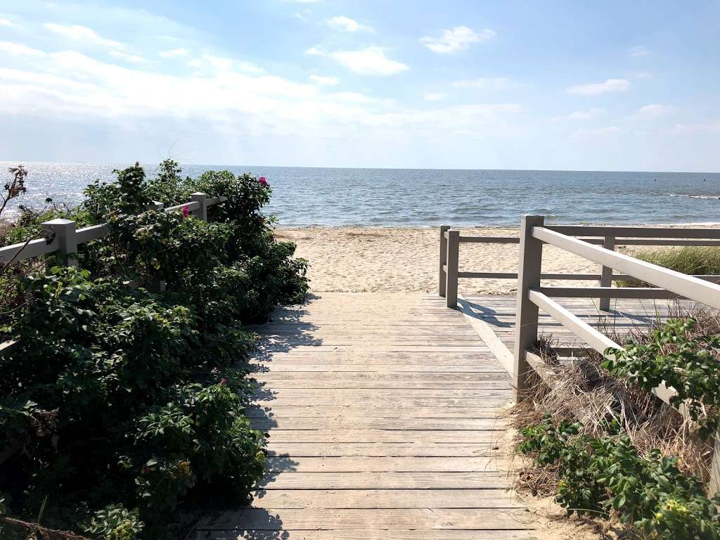 Fortescue Fish and Wildlife Management Area | Newport, NJ 08345 | Phone: (856) 447-3100