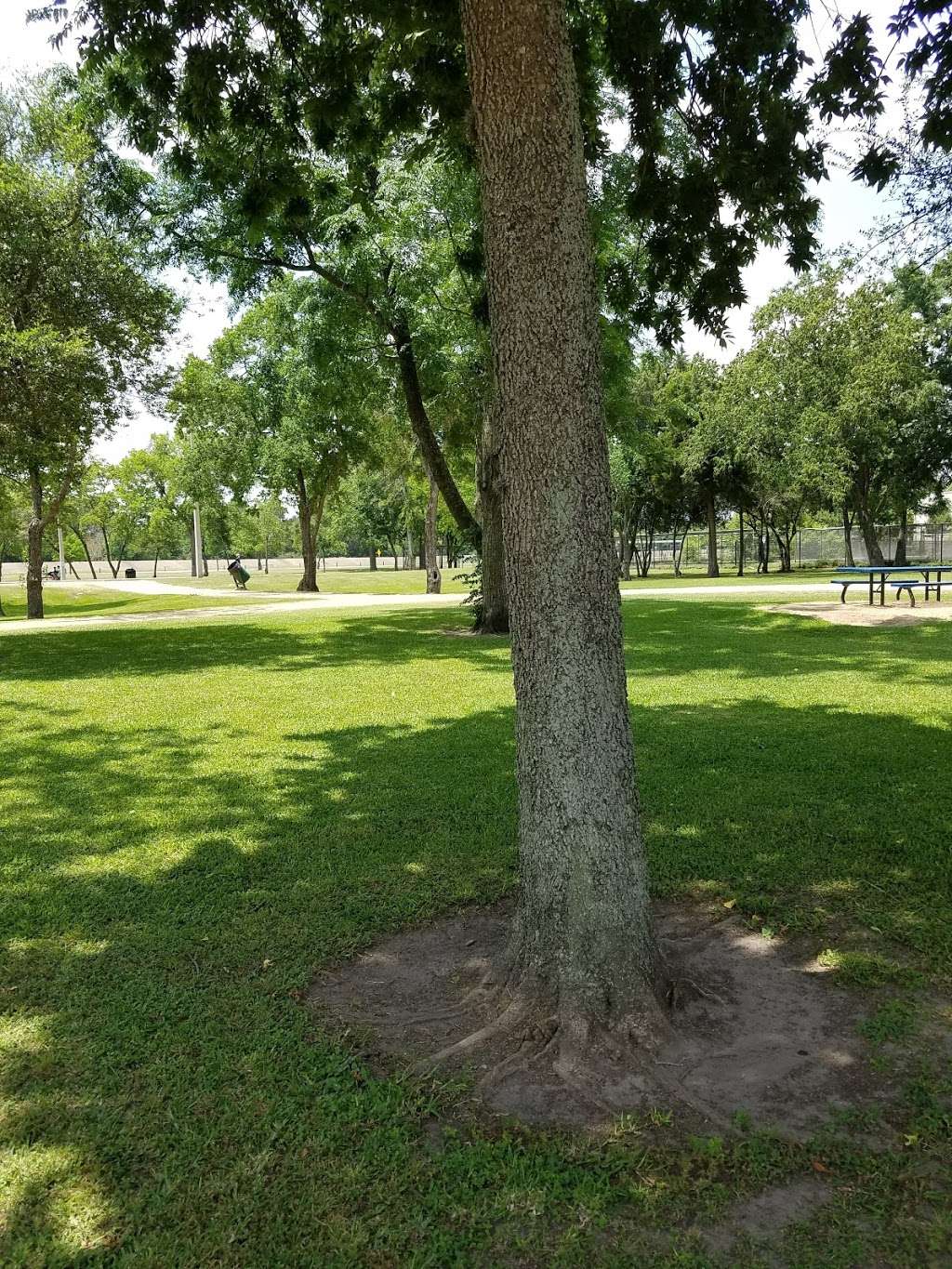 Park | Houston, TX 77094