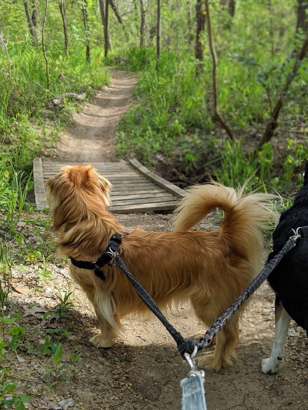 Rowlett Creek Preserve | 2525 Castle Dr, Garland, TX 75040, USA | Phone: (972) 205-2750