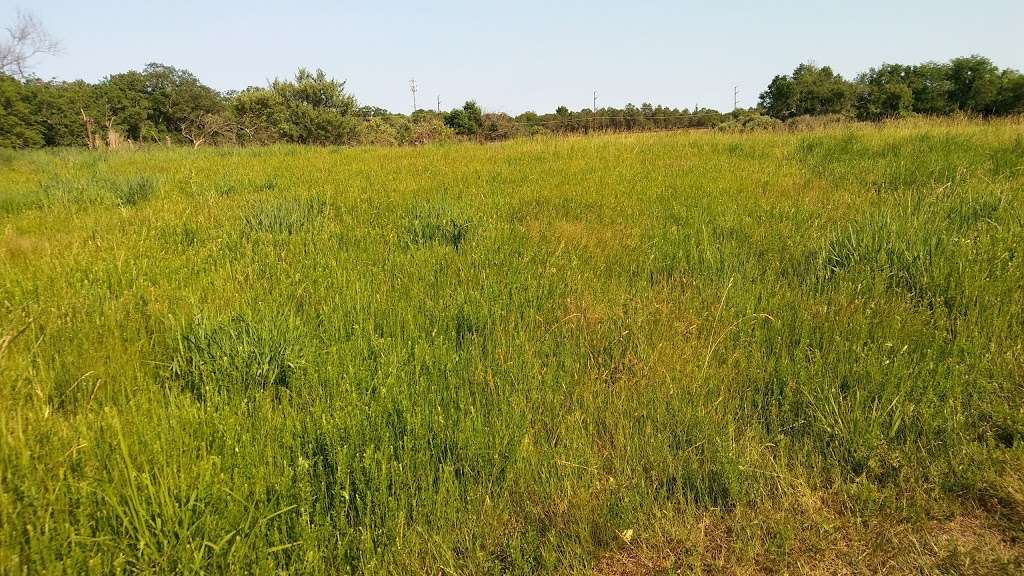 Stafford Forge Wildlife Management Area | West Creek, NJ 08092