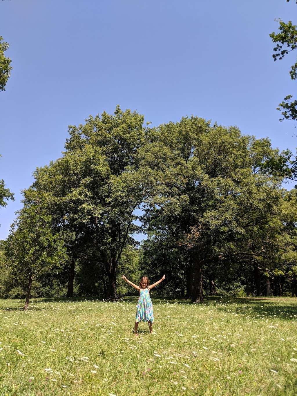 Furry Ema, The Morton Arboretum | Unnamed Road, Lombard, IL 60148, USA