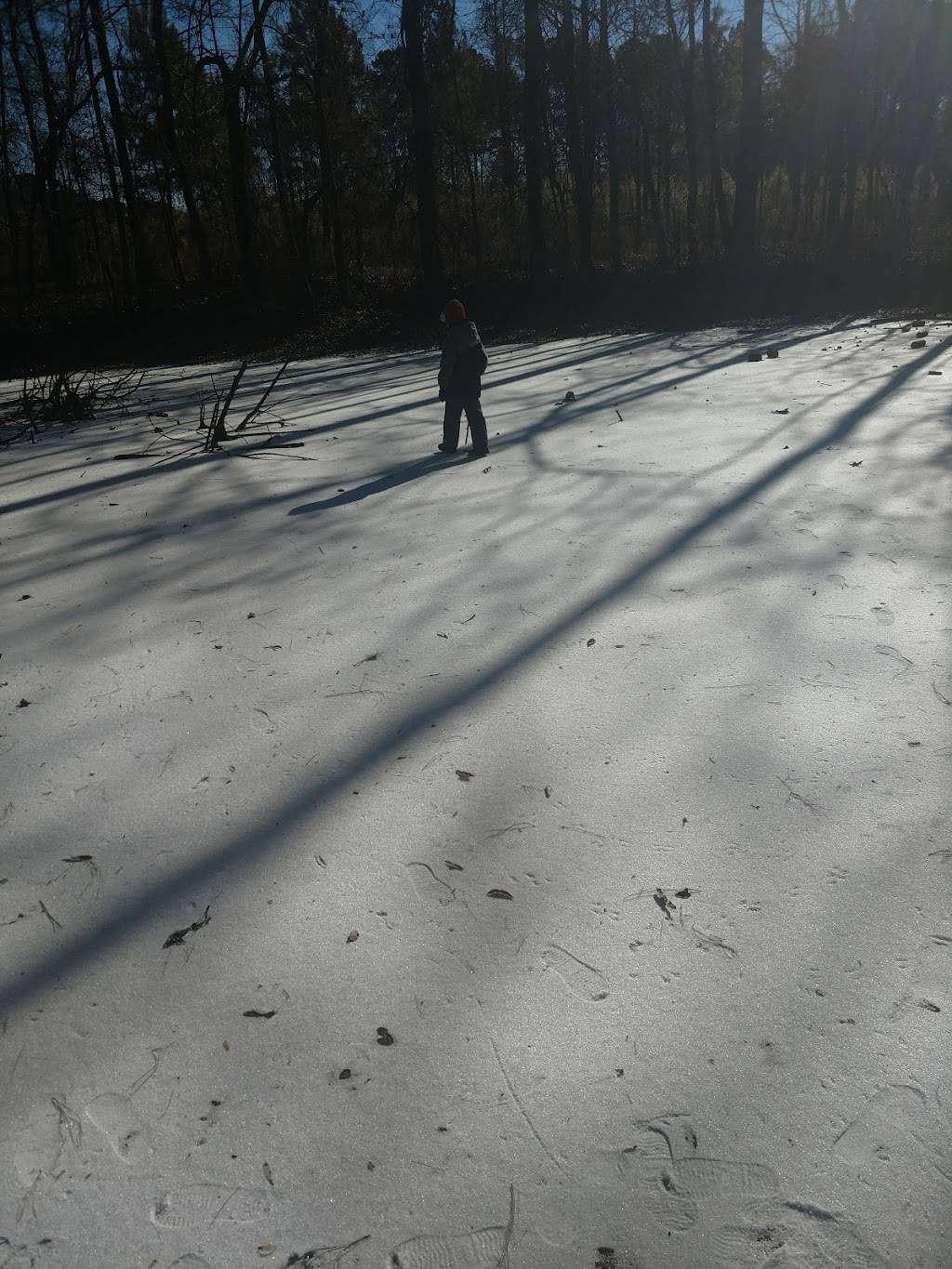 Ledge Creek Forest Conservation Area - Trailhead #1 | 3189 Brogden Rd, Stem, NC 27581, USA | Phone: (919) 496-5902