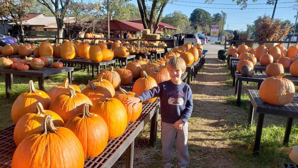 Blacks Produce | 636 N Highway 16, Denver, NC 28037, USA | Phone: (704) 489-0078