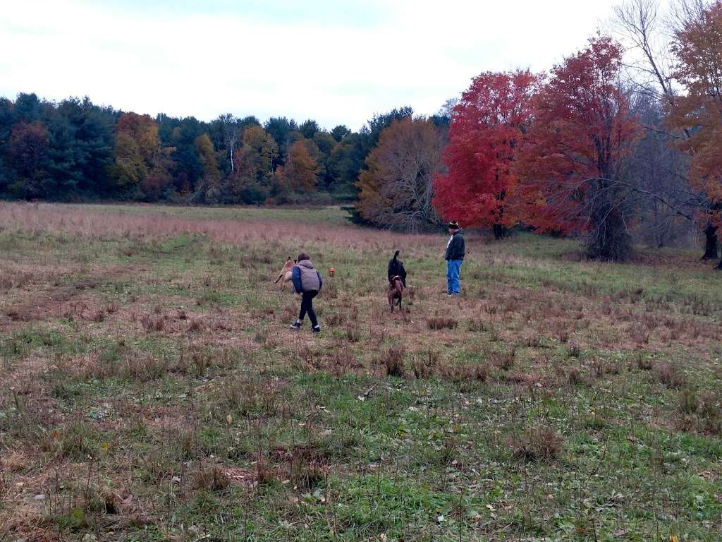 Eagle Pond | Callahan State Park,, Framingham, MA 01701, USA