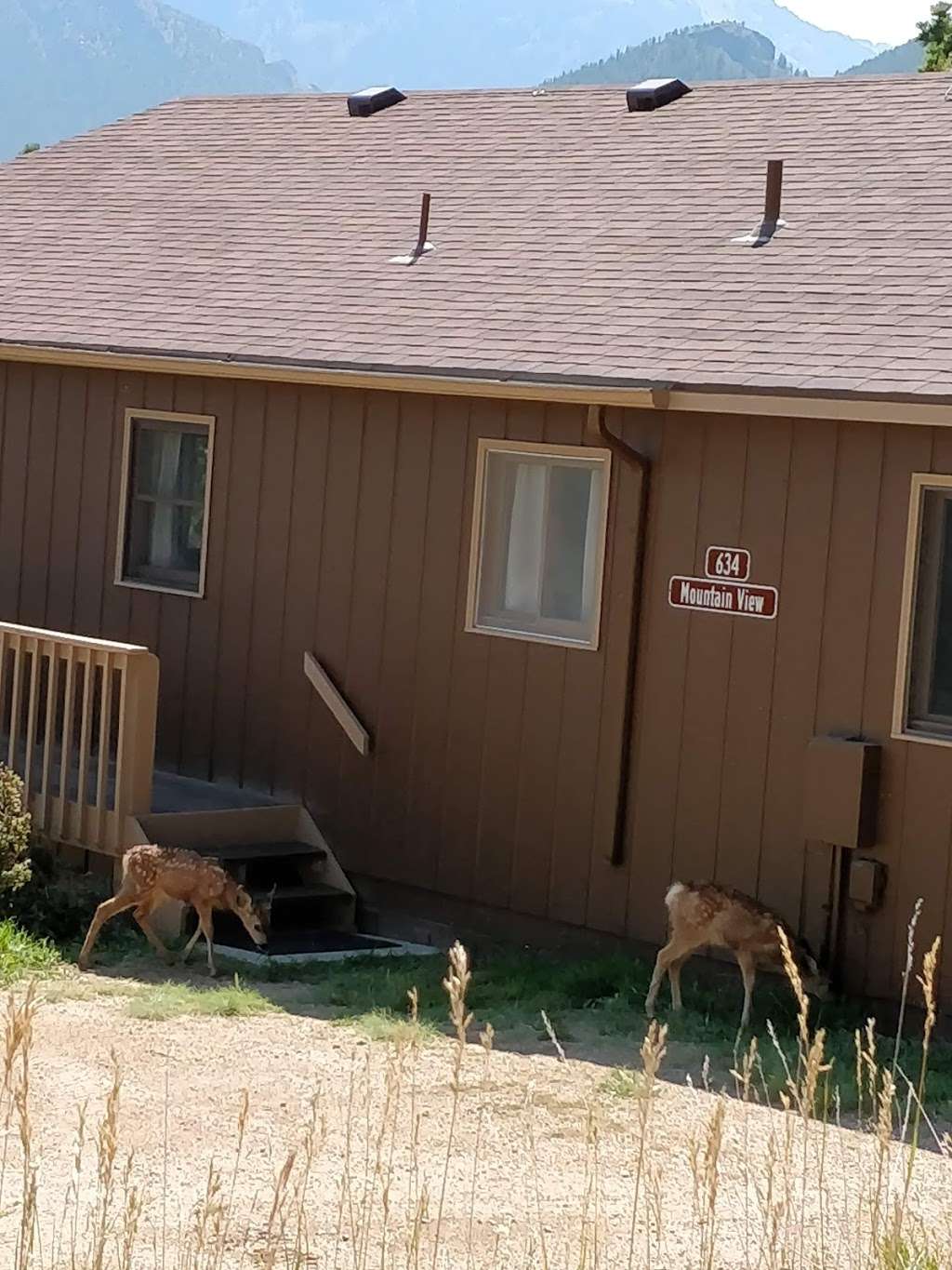 Twin Pines cabin, YMCA of the Rockies | Estes Park, CO 80517, USA