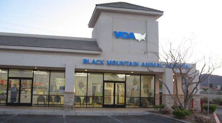 VCA Black Mountain Animal Hospital | 400 College Dr A, Henderson, NV 89015, USA | Phone: (702) 565-6558