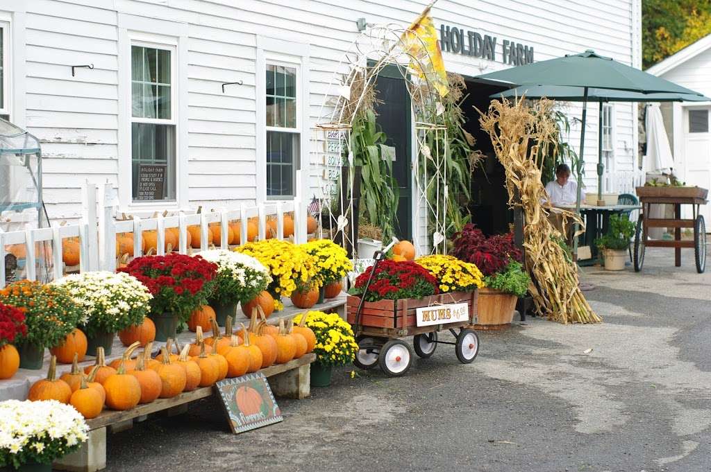 Holiday Farm | 100 Central St, Berlin, MA 01503, USA | Phone: (508) 333-0242