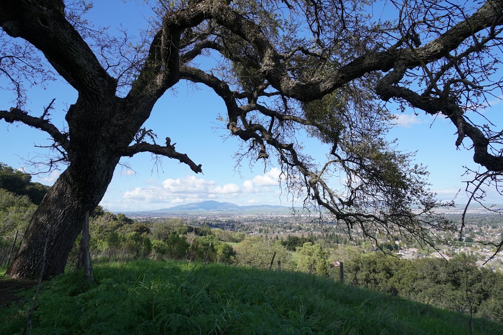 Castleridge Trailhead | 3464 Old Foothill Rd, Pleasanton, CA 94588, USA