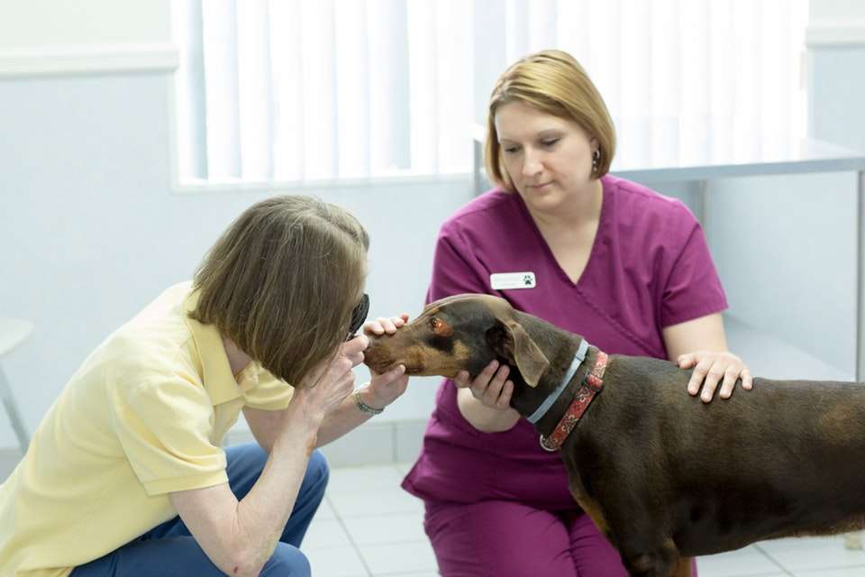 Somerset Veterinary Hospital | 274 US Hwy 202/206 North, Pluckemin, NJ 07978 | Phone: (908) 658-4434