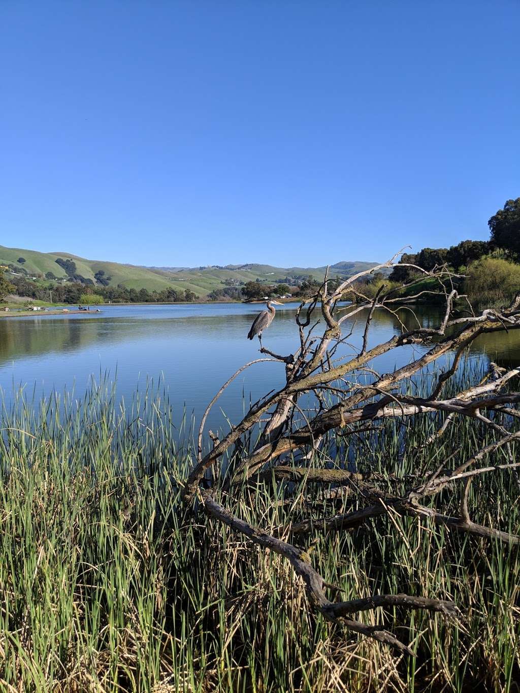 Ed R. Levin County Park | 3100 Calaveras Rd, Milpitas, CA 95035, USA | Phone: (408) 262-6980