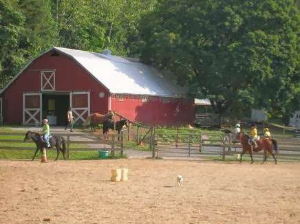 Silhouette Stables | 4219 Fishers Hollow Rd, Myersville, MD 21773, USA | Phone: (301) 293-1268