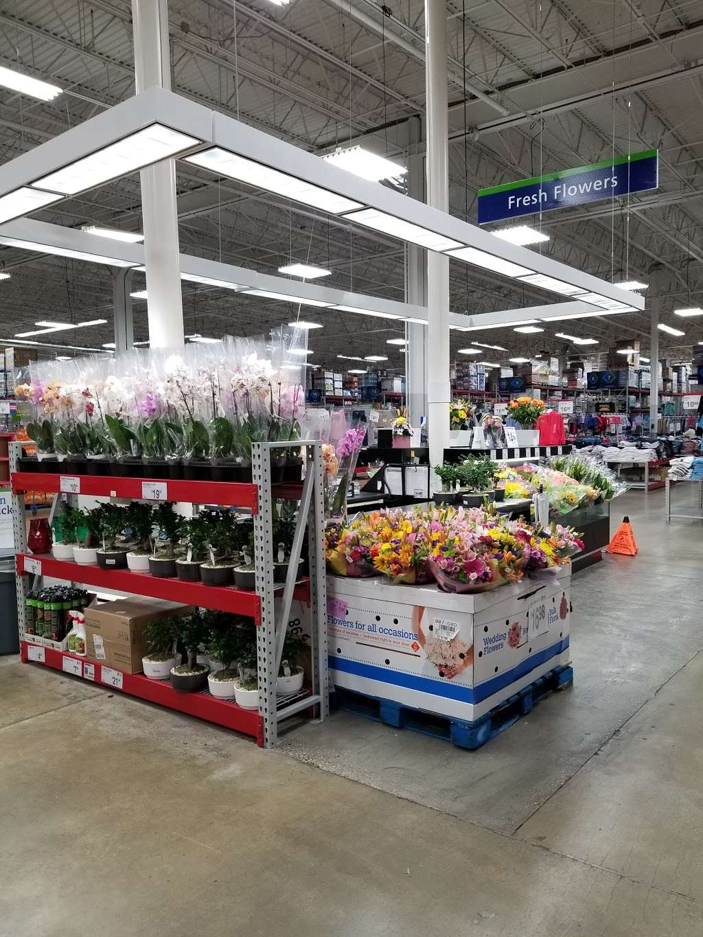 Sams Club Floral | Temple, PA 19560, USA