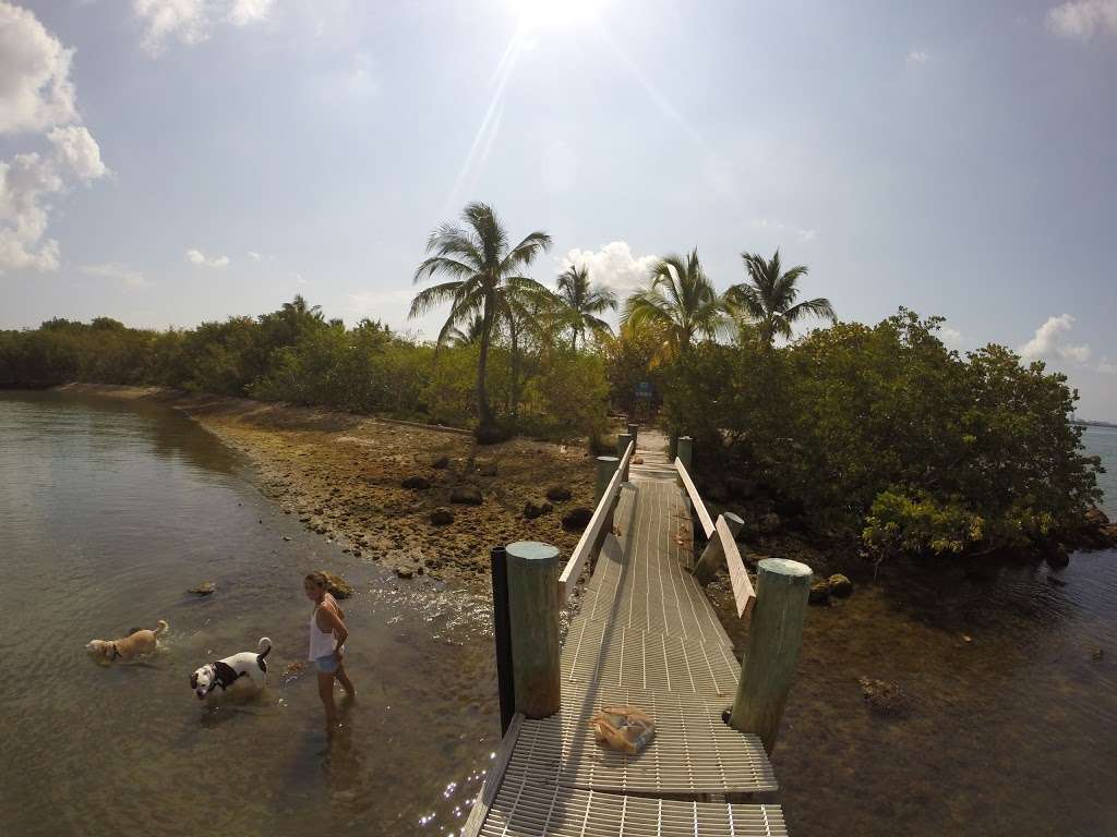 The people’s of Quayside Island | Miami, FL 33181, USA