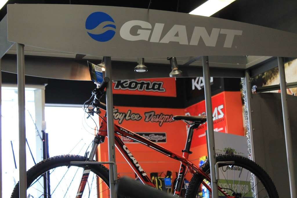 Citrus Cyclery | 9022 Pulsar Ct c, Corona, CA 92883, USA | Phone: (951) 444-7353