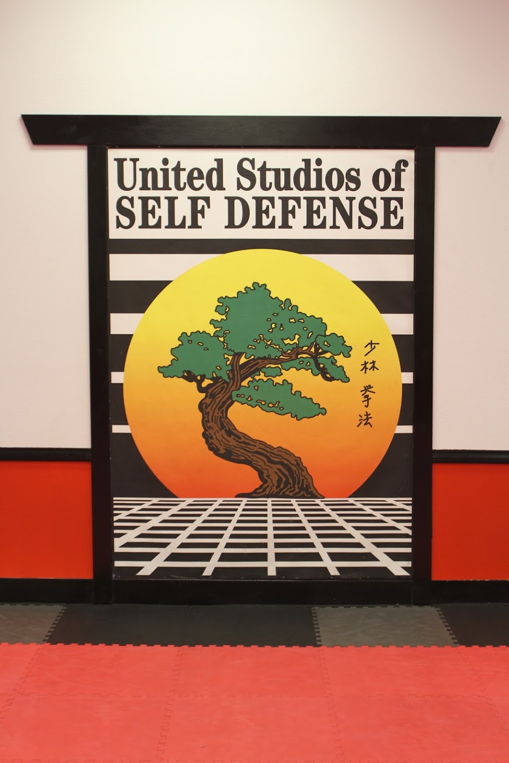 United Studios of Self Defense - Las Vegas | 8550 W Desert Inn Rd #104, Las Vegas, NV 89117, USA | Phone: (702) 243-8773