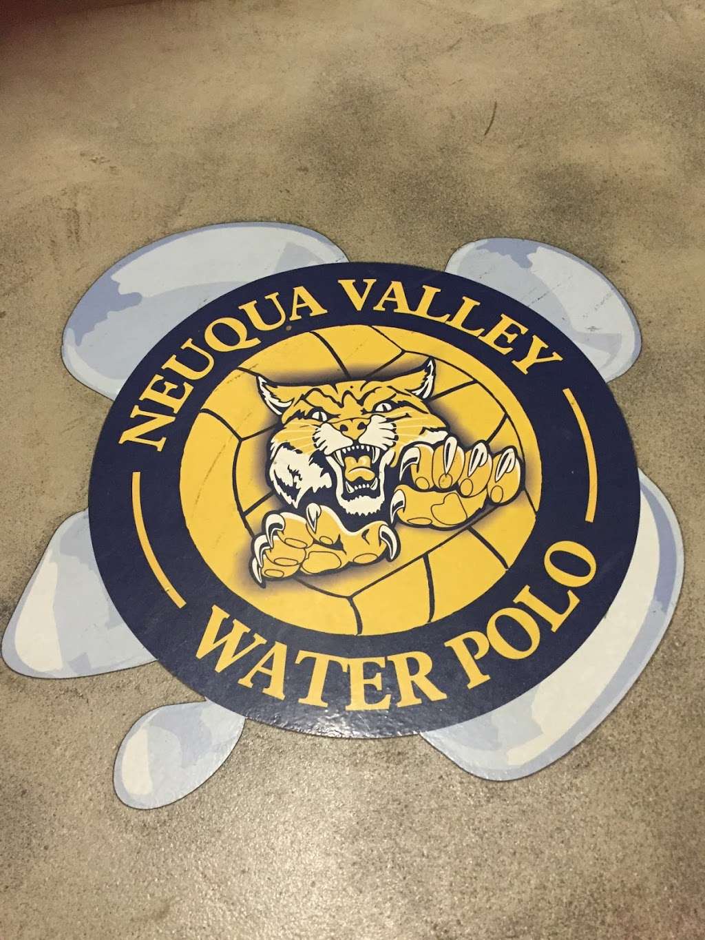 Neuqua Valley High School | 2360 95th St, Naperville, IL 60564, USA | Phone: (630) 428-6000