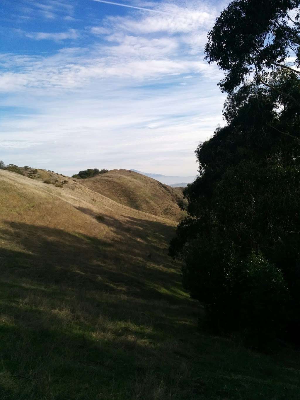 Sibley Park Main Staging Area | Skyline Blvd, Oakland, CA 94611