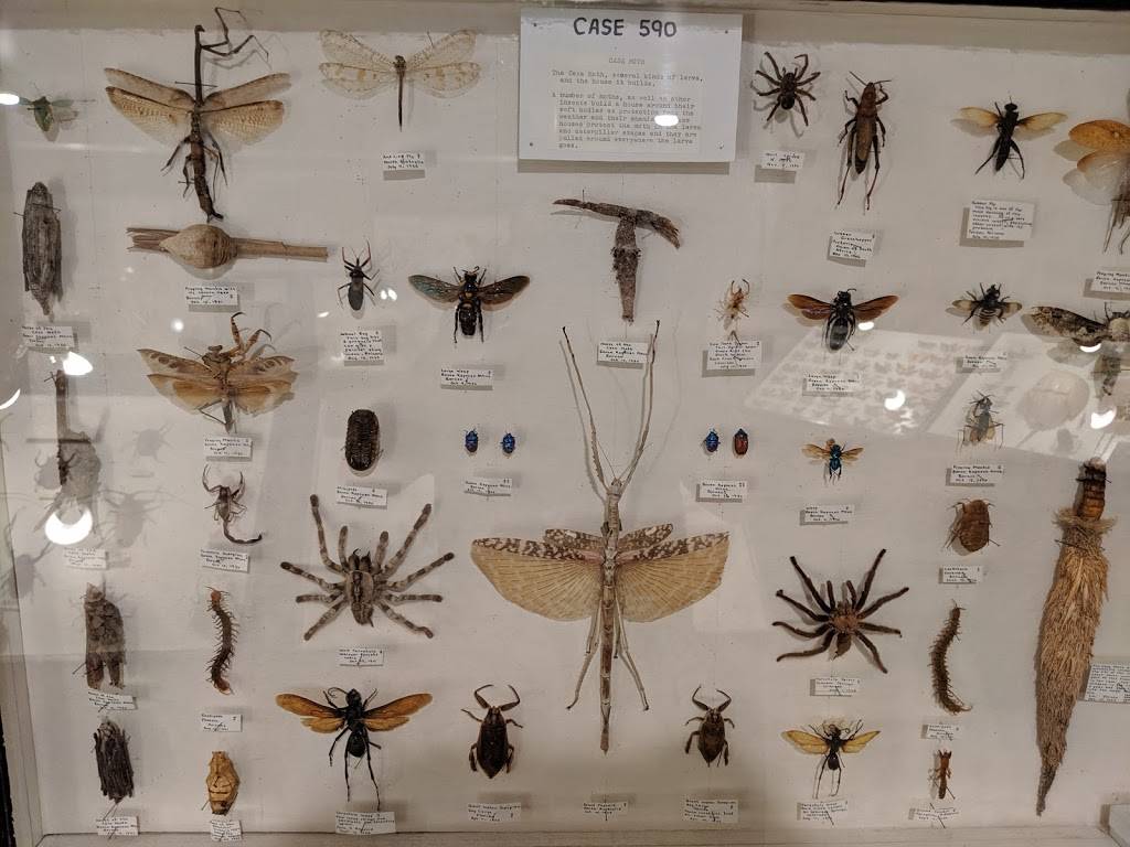 May Natural History Museum | 710 Rock Creek Canyon Rd, Colorado Springs, CO 80926, USA | Phone: (719) 576-0450