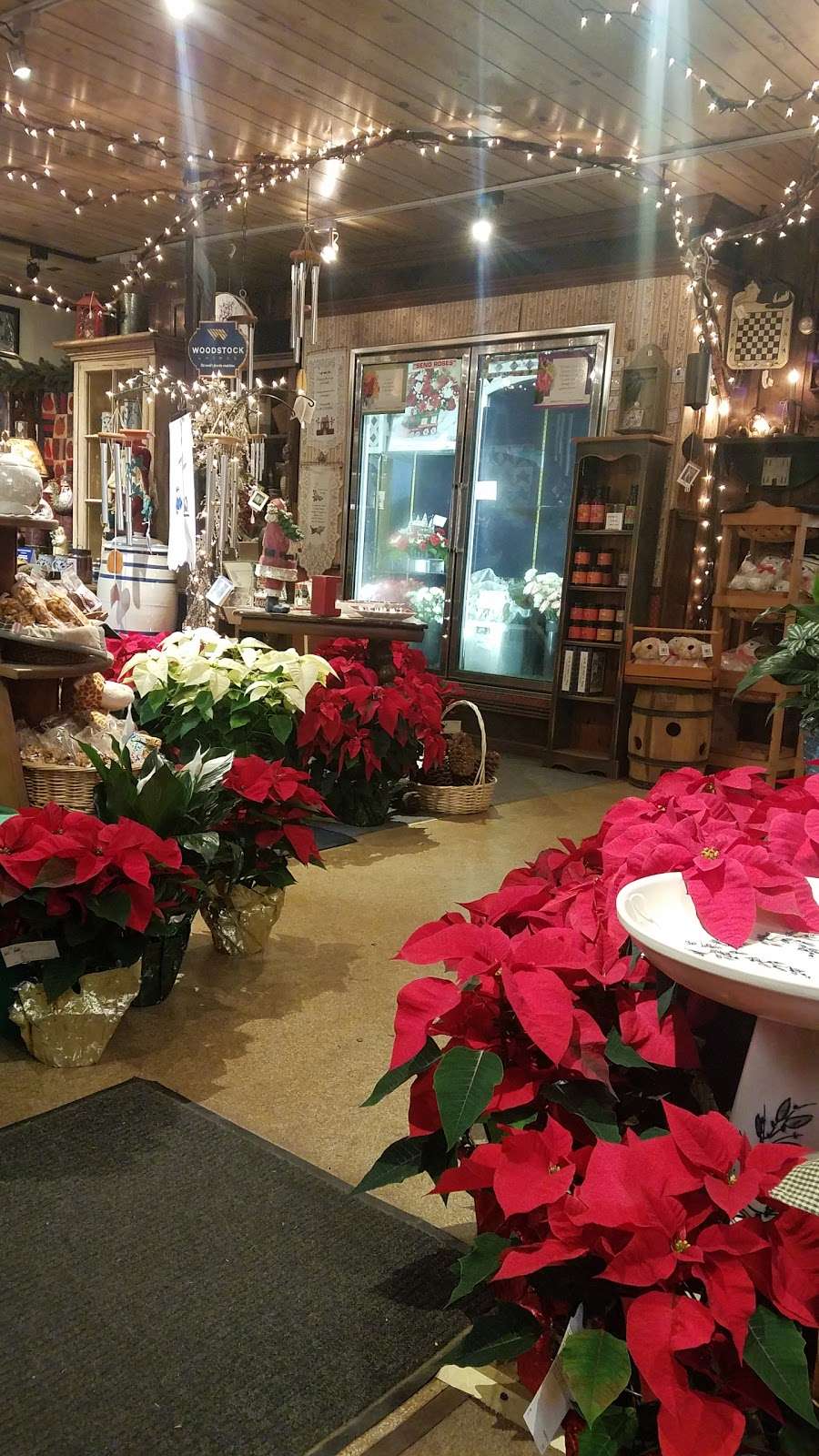 Three Brothers Nursery & Florist | 502 NJ-57, Port Murray, NJ 07865, USA | Phone: (908) 689-4194