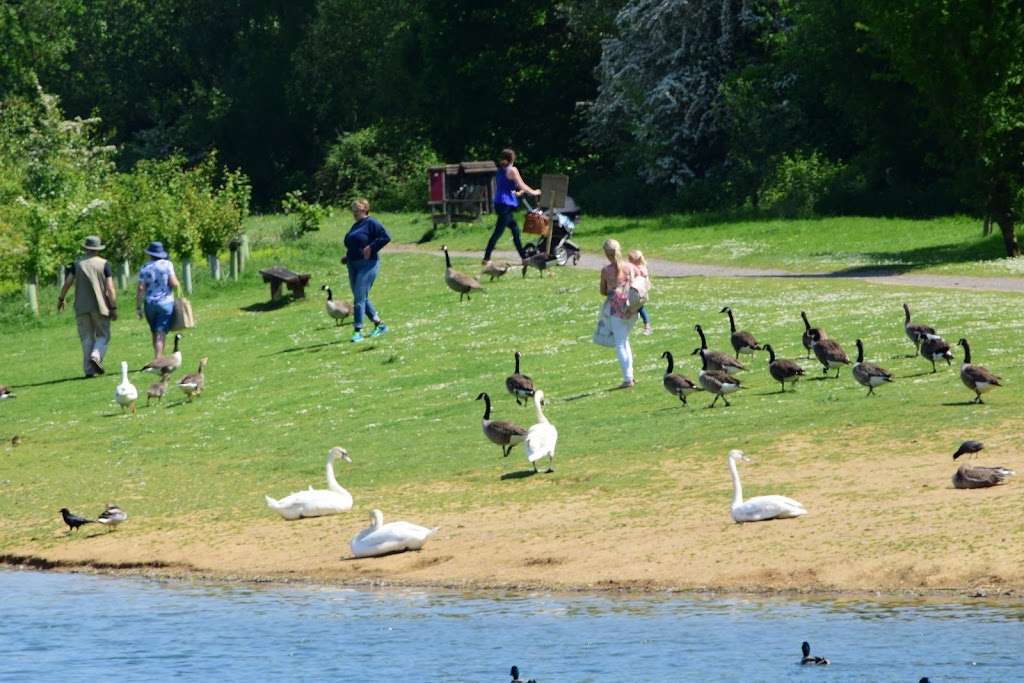 Haysden Country Park | Lower Haysden Ln, Tonbridge TN11 9BB, UK | Phone: 0845 824 7600