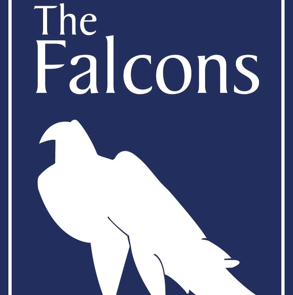 The Falcons Preparatory School for Boys | 41 Kew Foot Rd, Richmond TW9 2SS, UK | Phone: 020 8948 9490