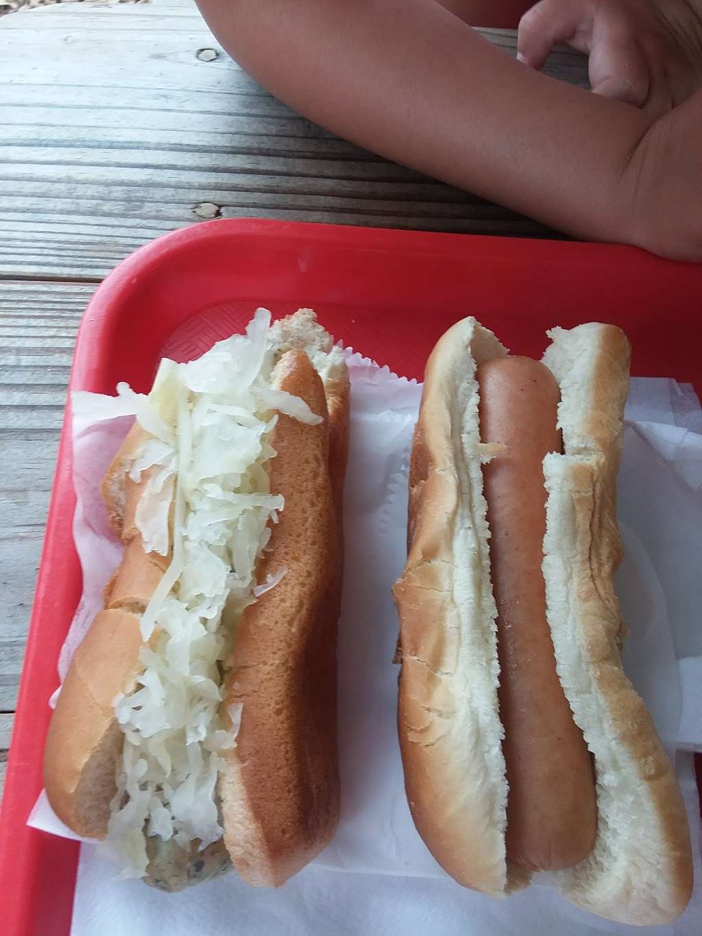 Hot Diggidy Dog | 3970 Main St, Chatsworth, NJ 08019, USA | Phone: (609) 519-3705