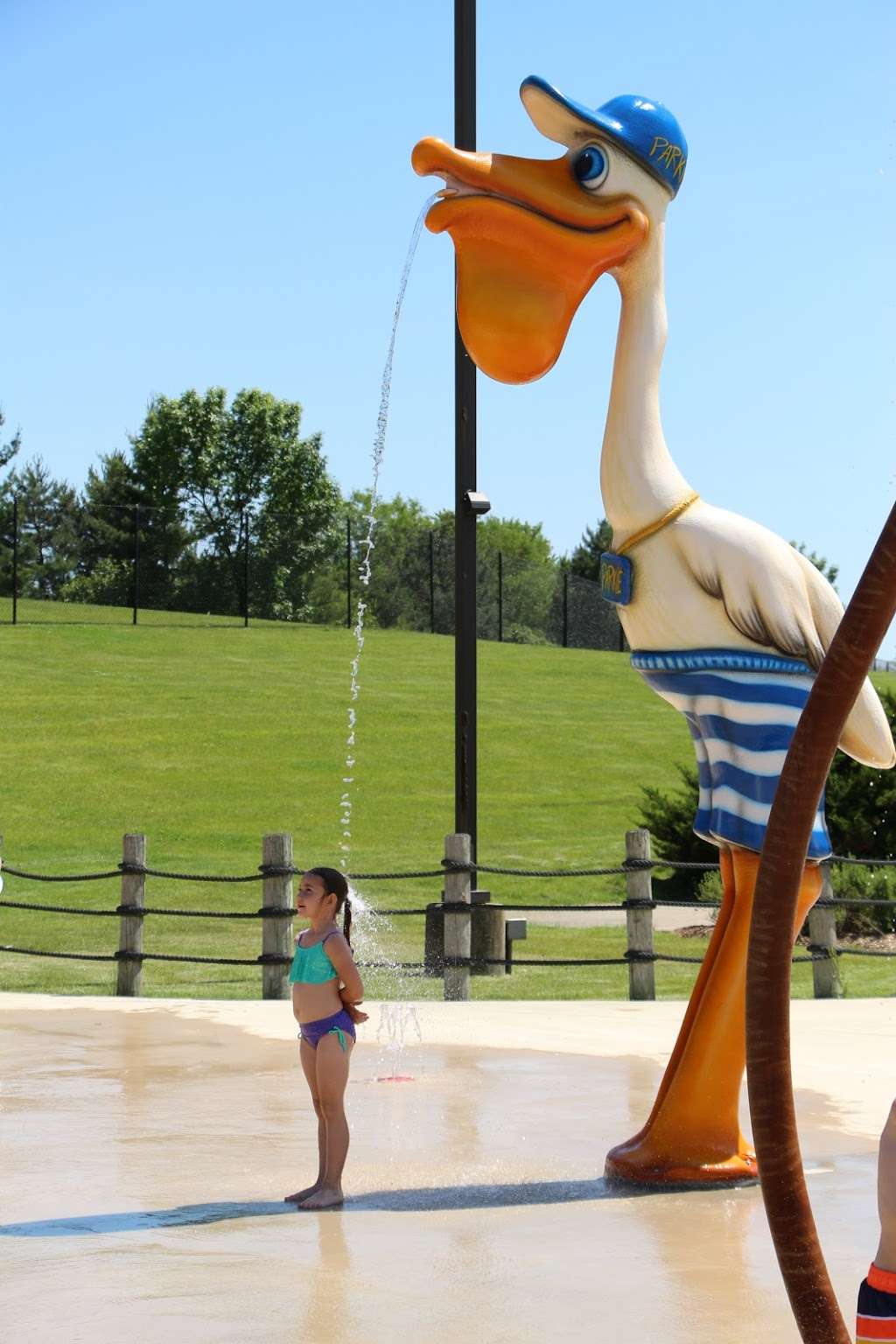 Pelican Harbor Indoor/Outdoor Aquatic Park | 5221, 200 S Lindsey Ln, Bolingbrook, IL 60440, USA | Phone: (630) 739-1777