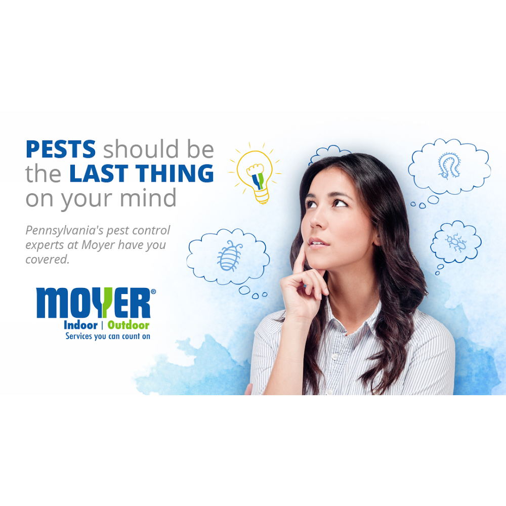 Moyer Pest Control | 124 S 4th St, Telford, PA 18969, USA | Phone: (215) 799-2010