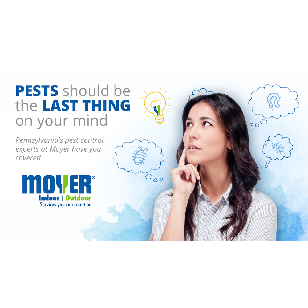 Moyer Pest Control | 124 S 4th St, Telford, PA 18969 | Phone: (215) 799-2010