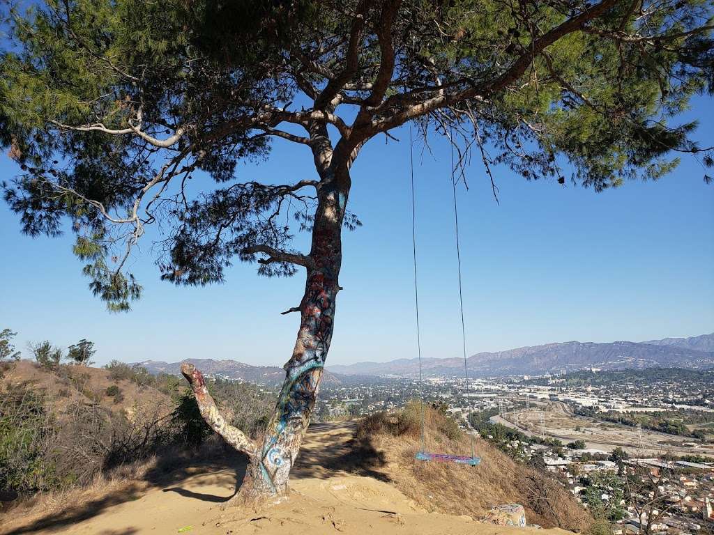 Secret Swing Angels Point | Los Angeles, CA 90031