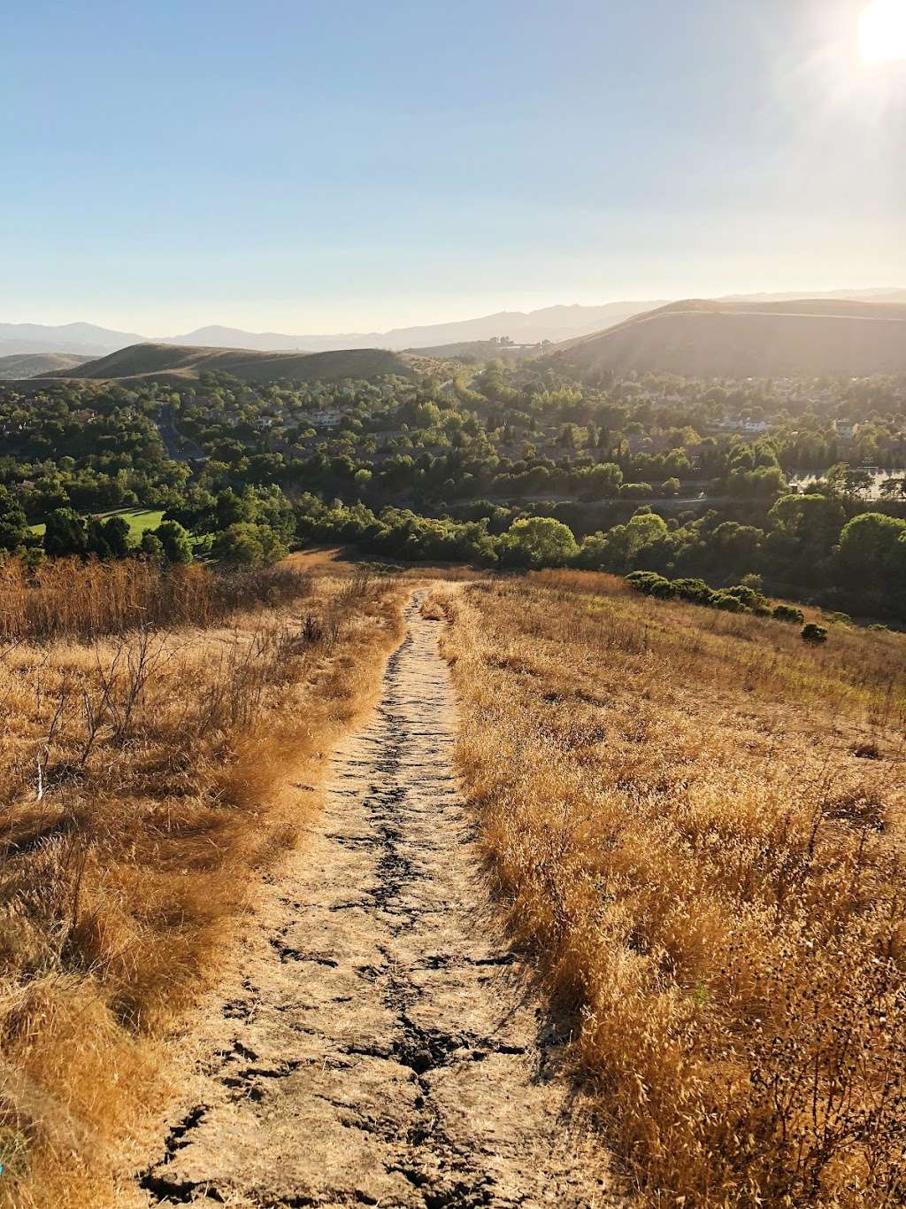 Red Willow Park | 190 Red Willow Rd, San Ramon, CA 94582, USA | Phone: (925) 973-3200
