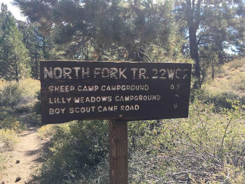 Sheep Campground | Maricopa, CA 93252, USA