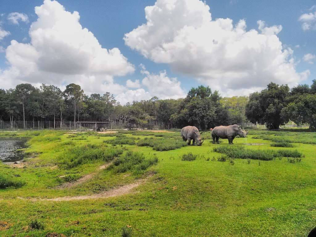 Lion Country Safari | 2003 Lion Country Safari Rd, Loxahatchee, FL 33470, USA | Phone: (561) 793-1084