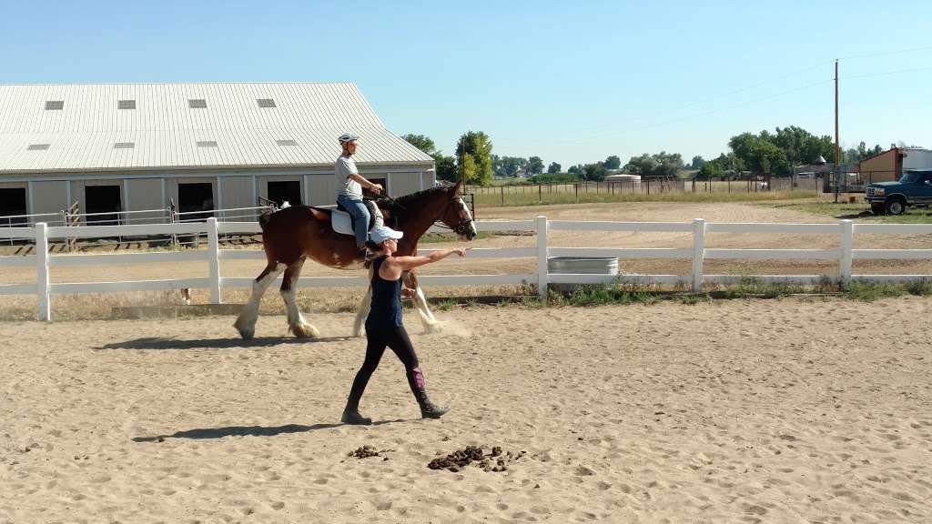 Rowdy Ranch Horse Boarding | 7257 Maple St, Firestone, CO 80504, USA | Phone: (303) 359-3102