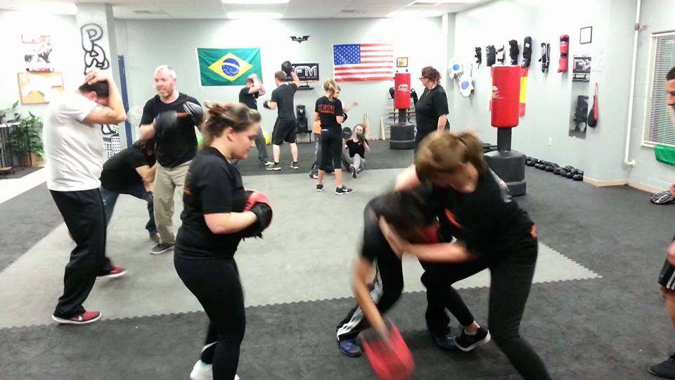 Venom Martial Arts Academy | 221 Commonwealth Ct, Winchester, VA 22602, USA | Phone: (540) 323-0236