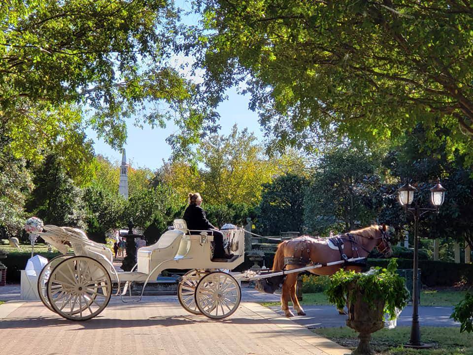 The Carriage Company | 1051 N 2nd St, Memphis, TN 38107, USA | Phone: (901) 507-2587