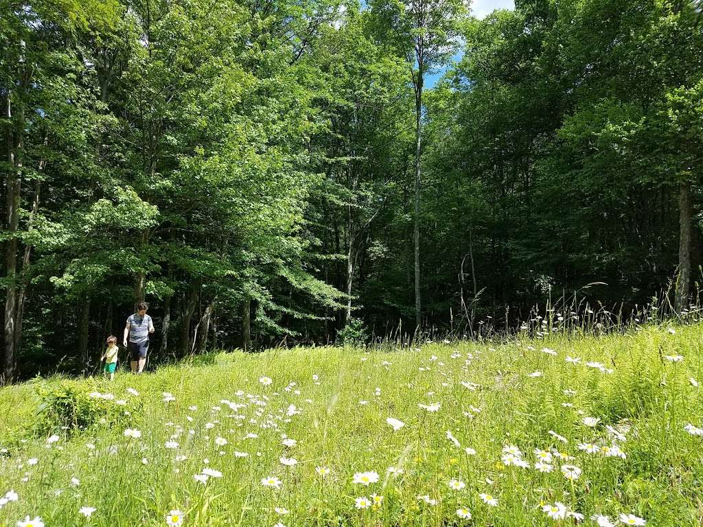 Natural Lands Trusts Bear Creek Preserve | 47 Rabbit Run Ln, Bear Creek Village, PA 18702 | Phone: (570) 647-9175